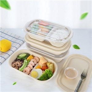 Jednokratna Bento kutija s poklopcem